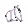 Harnais pour chien Nobby Pet Classic Violet 2XS 73164-44