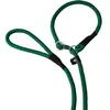 Nobby Fun Uni Laisse pour Chien Vert 170 cm/13 mm