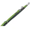 Nobby Classic Preno Laisse d'Entrainement pour Chien Vert/Gris 200 cm/15-20 mm