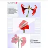 Olympia 1x50 din a3 125 micron (9175)