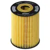HENGST FILTER Blocs moteur E69H D81