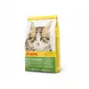 Josera 4032254754992 croquette pour chat 10 kg Chatons Volaille