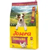 10kg Josera Adult Mini poulet & riz croquettes pour chiens