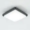 Plafonnier d'extérieur LED EVN Tectum, 23x23 cm, anthracite, 150
