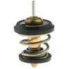 Thermostat, Liquide De Refroidissement Motorad 70795k
