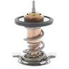 Thermostat, Liquide De Refroidissement Chevrolet Motorad 73582k