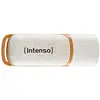 Clé USB Intenso Green Line 128 Go - Beige, Brun - USB 3.2