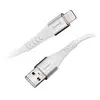 Chargeur USB Intenso A315L - 12 W - Courant de sortie 2.4 A - USB-A, Lightning