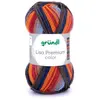 Fil à tricoter LISA PREMIUM COLOR - Grundl - certifiée Oeko-Tex(...) -...