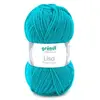 Non communiqué Fil à tricoter LISA PREMIUM UNI - Grundl(...) - 49 Vert