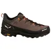 Salewa Alp Trainer 2 marron 42