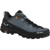 Salewa Alp Trainer 2 bleu 44