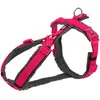 Trixie Premium Harnais Trekking Taille Ml D62-74cm H25mm Fushia Gris Graphite Trixie
