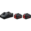 Bosch Professional Chargeur Et Batterie 2 Procore 18v 8.0 Ah+gal18v-160