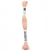 Non communiqué Fil à broder mouliné Uni - Rico Design(...) - 255 Rose