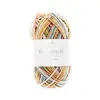 Pelote de coton RICORUMI PRINT DK 25 gr - Rico Design 04 Multicolore -...