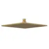 Douche de tête VILLEROY ET BOCH Universal rectangle Brushed Gold