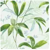 ARCHITECTS PAPER A.S. Creation Jungle Chic 377041 Papier peint intissé Nature 0.53 m x 10.05 Vert