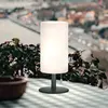 FH Lighting Lampe à poser LED rechargeable Larino, hauteur 28 cm