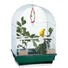 Relaxdays cage à oiseaux, volière, pinsons, canaris, perchoir, mangeoire, H x l x P 49,5 x 34,5 x 28 cm, blanc/vert
