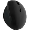 LOGILINK ID0139 RATÃ N RF INALÁMBRICO Ã PTICO 1600 DPI Mano DERECHA
