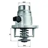 Mahle Thermostat, liqiuide de refroidissement BEHR TM27101