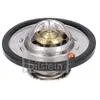 Thermostat, Liquide De Refroidissement 193096 Febi Febi 193096