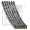 FEBI BILSTEIN Courroie Poly-V 183322 1120mm 0,102kg