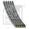 FEBI BILSTEIN 183324 Courroie Poly-V