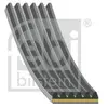FEBI BILSTEIN 182869 Courroie Poly-V