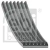 Courroie Trapézoïdale En Poly 184507 Febi Febi 184507