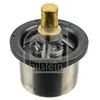 Thermostat, Liqiuide De Refroidissement 173716 Febi Man Febi 173716