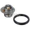 Thermostat Ford Swag 50105992