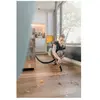 Kärcher WD 2 Plus V-12 Aspirateur Solide/Liquide 12L 1000W