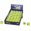 Balles de tennis pour chien Nobby Pet (x24) Jaune 6,5 cm 60486
