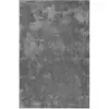 Tapis poils longs douces microfibre gris foncé 120x170