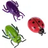zooplus Exclusive 3 jouets Insectes pour chat - Jouet pour chat