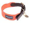 Collier Nomad Tales Bloom, corail pour chien  - taille XS : tour de cou 30 - 36 cm, l 25 mm