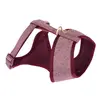 Harnais Nomad Tales Calma, bordeaux pour chien - taille XXS : tour de ...