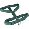Harnais Nomad Tales Blush, émeraude pour chien  - taille S : tour de poitrail 37 - 53 cm, l 15 mm