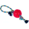zooplus Basics corde avec balle 32x10cm pour chien