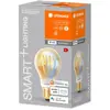 Ledvance Ampoule Intelligente Lumineuse En Verre Doré, 6cm