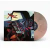LP  de Hot Water Music - Never ender - pour Indifférent - Standard Sta...