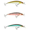 Daiwa Minnow Tournament Current Master Sr Floating 12g 93 Mm