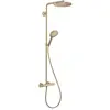 Hansgrohe - Raindance s Système de douche 240 1jet, PowderRain,