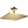 hansgrohe Raindance E Set de douche de tête, 1 jet, 26251990,