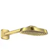 AXOR ShowerSphere Douche de tête, 1 jet, 39754990,