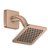 AXOR Citterio C Set de douche de tête, 1 jet, 28810310,
