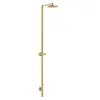 AXOR Starck Nature Colonne de douche, Mitigeur monocommande, 12671250,
