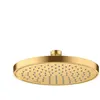 AXOR ShowerSolutions Douche de tête, 1 jet, 35388250,